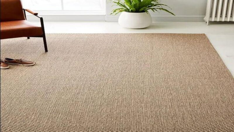 Are Sisal Rugs the Perfect Blend of Style and Sustainability