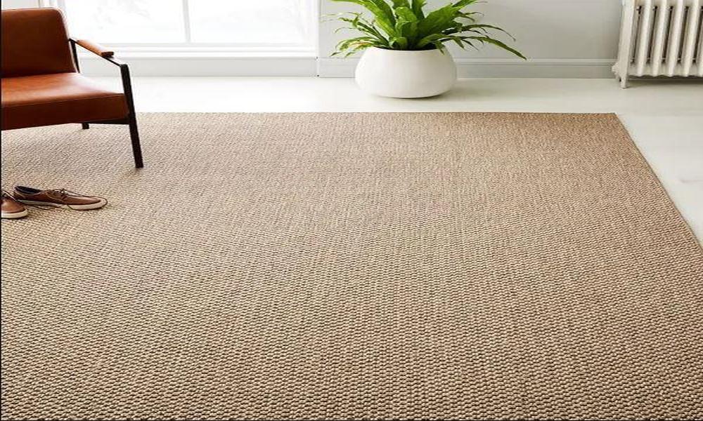 Are Sisal Rugs the Perfect Blend of Style and Sustainability?